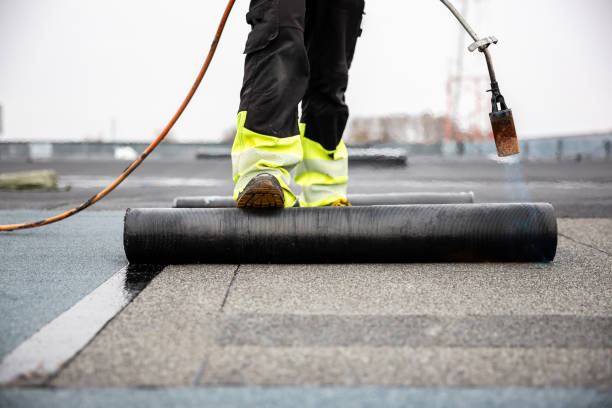 Best Skylight Installation and Repair  in Palo Alto, CA