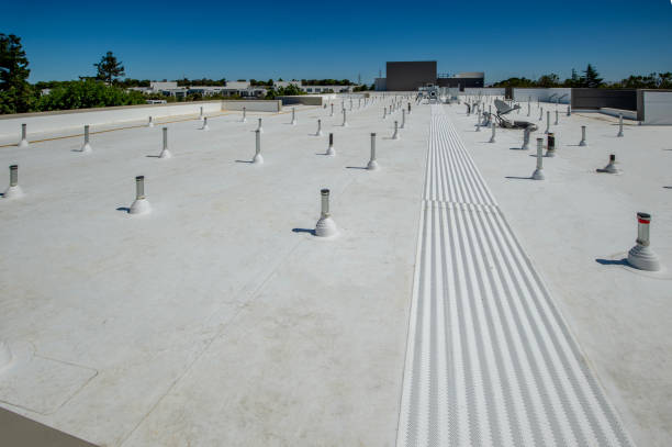 Best Roof Moss and Algae Removal  in Palo Alto, CA